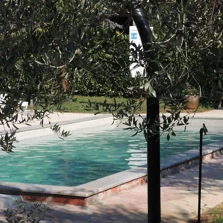 Holiday home Lorena Mit Salzwasser-pool In *